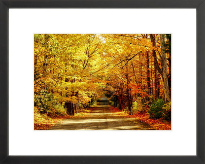 Fine Art Framed Prints: With or Without Mat