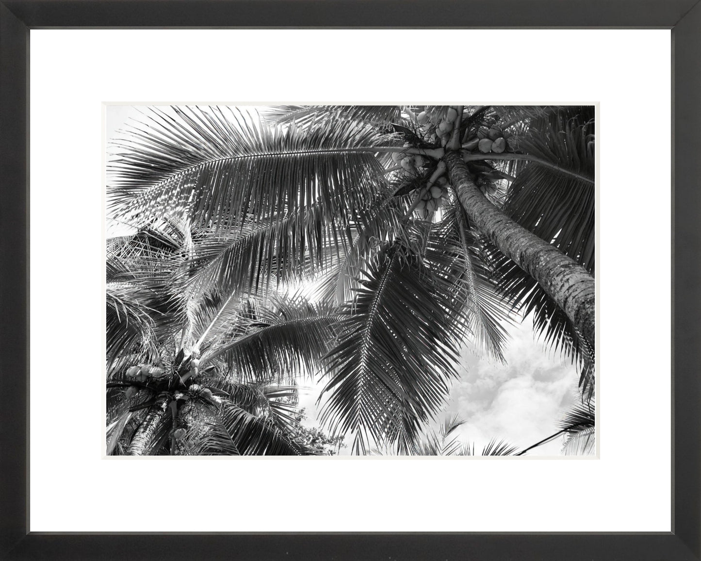 Fine Art Framed Prints: With or Without Mat