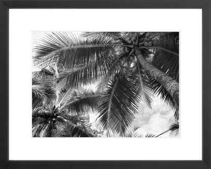 Fine Art Framed Prints: With or Without Mat