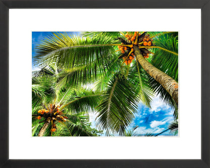 Framed Premium Prints: With or Without Mat