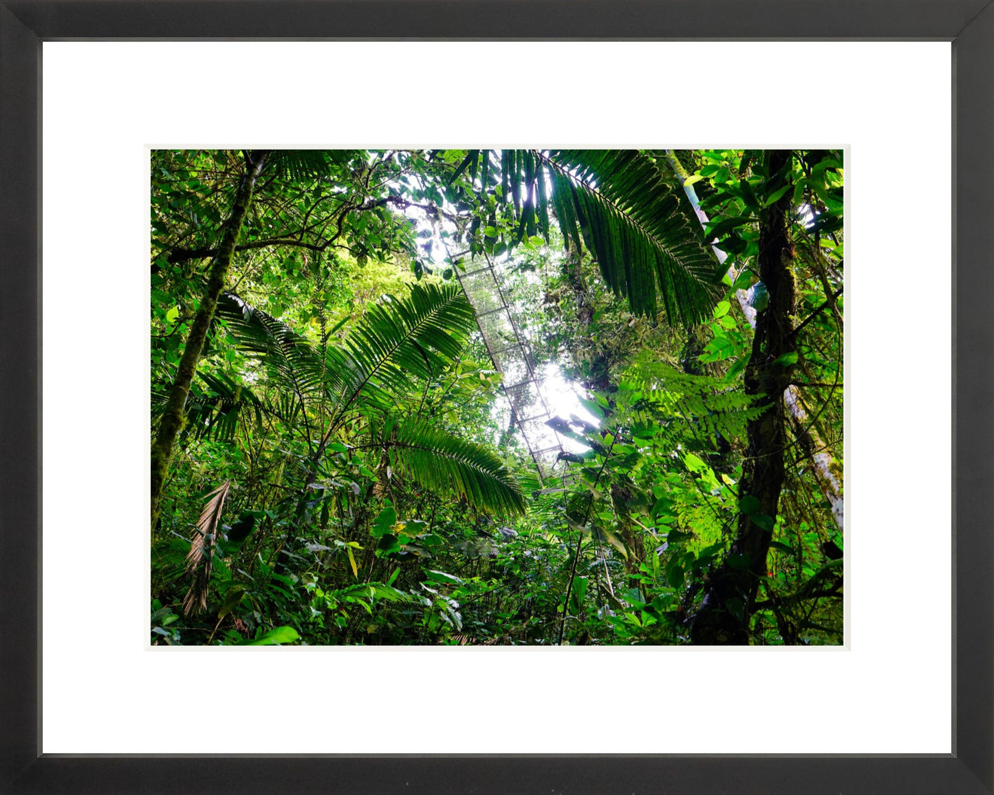 Fine Art Framed Prints: With or Without Mat