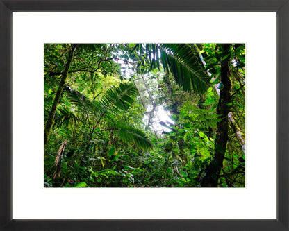 Fine Art Framed Prints: With or Without Mat
