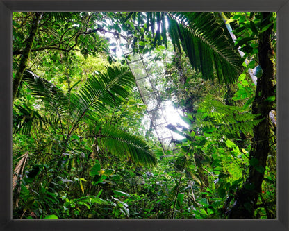 Fine Art Framed Prints: With or Without Mat