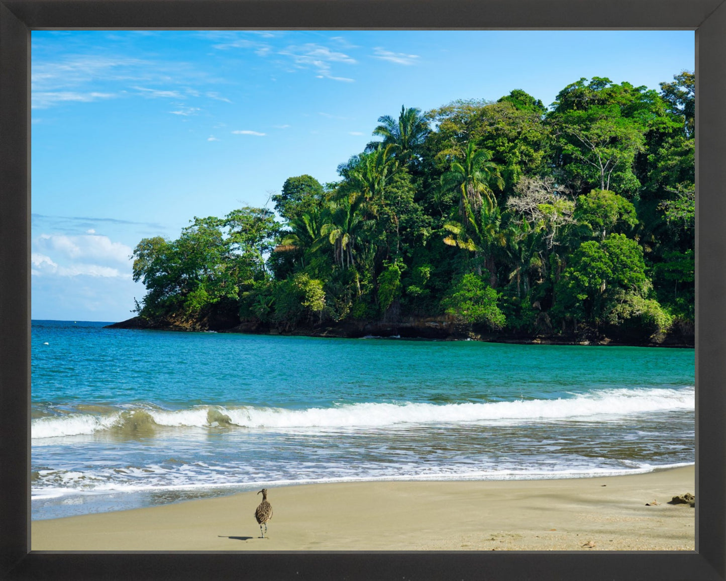 Fine Art Framed Prints: With or Without Mat