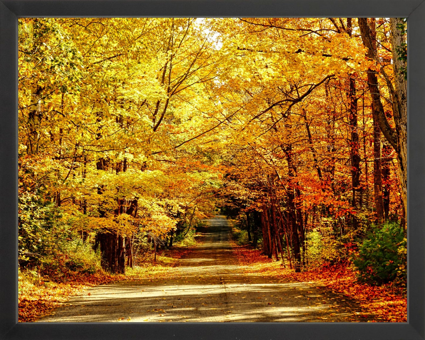 Fine Art Framed Prints: With or Without Mat