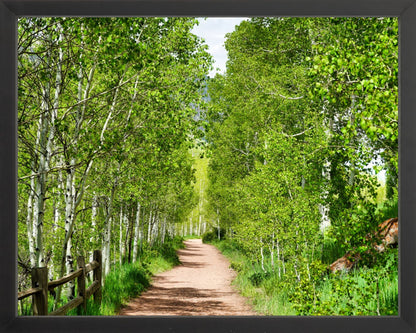 Fine Art Framed Prints: With or Without Mat