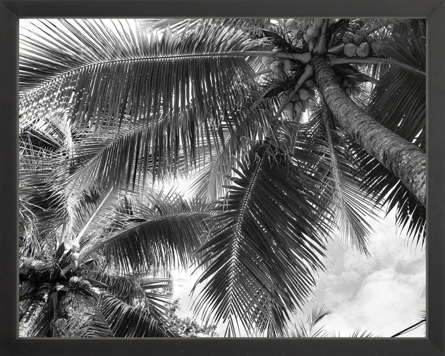 Fine Art Framed Prints: With or Without Mat