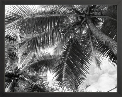 Fine Art Framed Prints: With or Without Mat