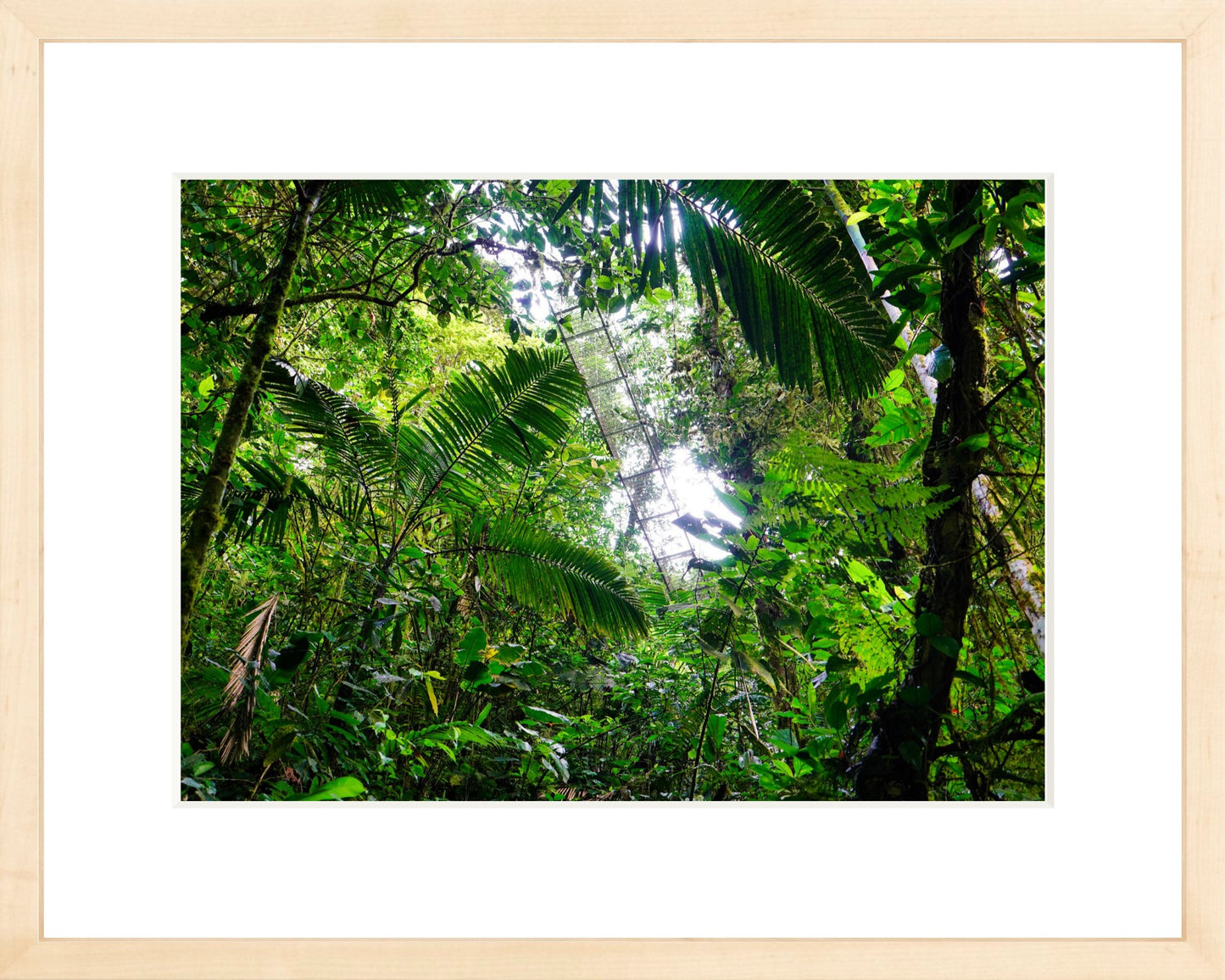 Fine Art Framed Prints: With or Without Mat