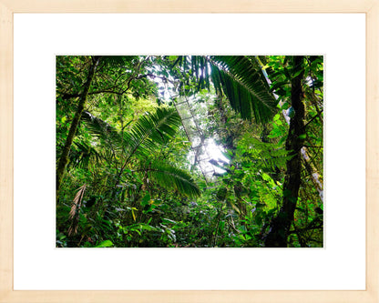 Fine Art Framed Prints: With or Without Mat