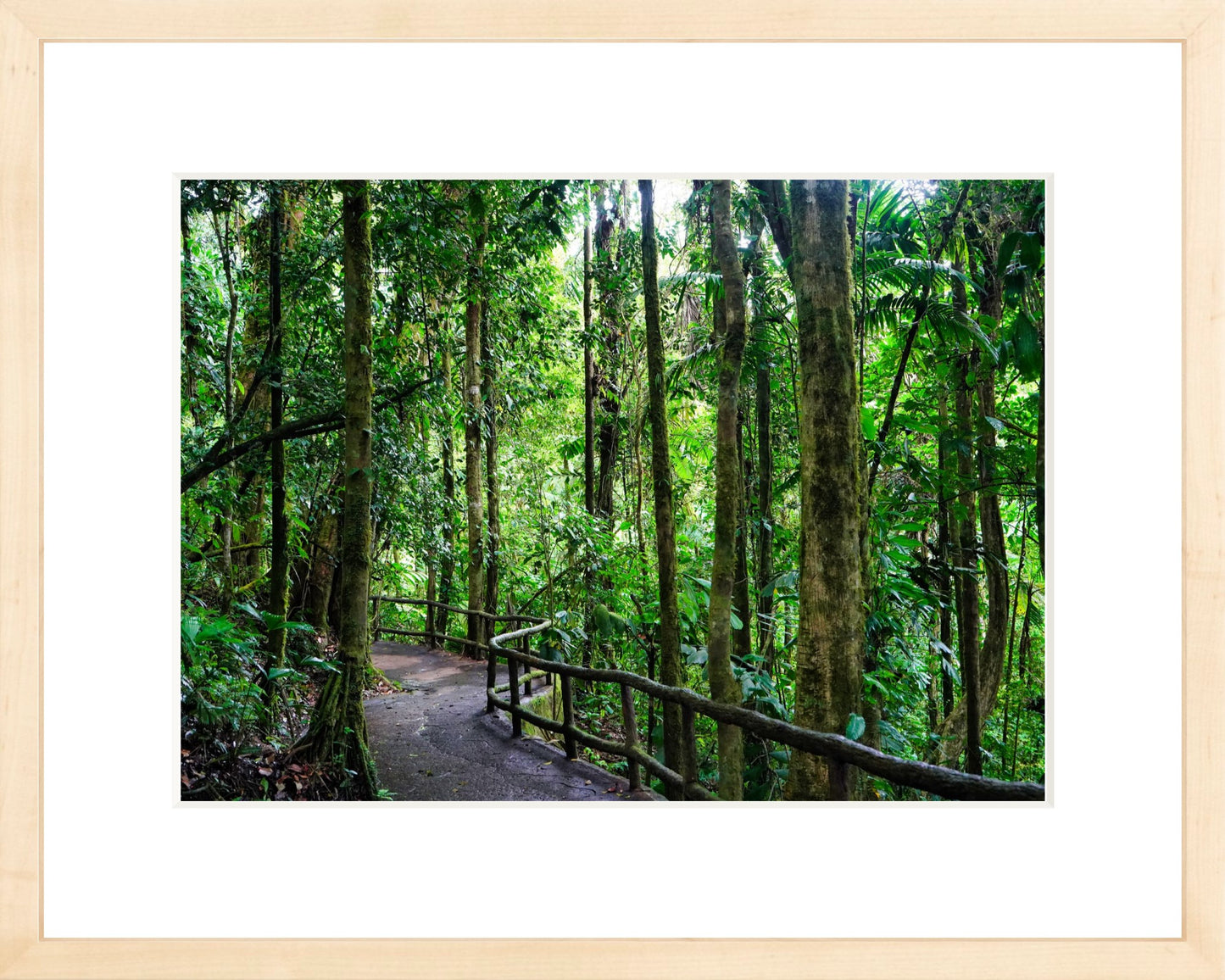 Fine Art Framed Prints: With or Without Mat