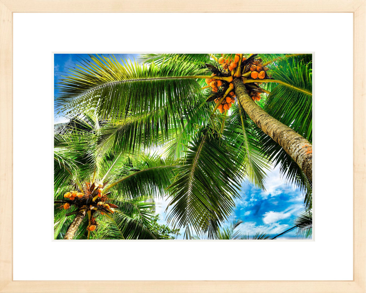 Framed Premium Prints: With or Without Mat