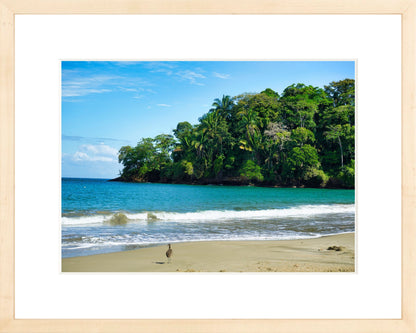 Fine Art Framed Prints: With or Without Mat