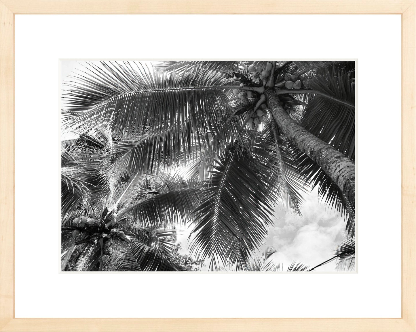 Fine Art Framed Prints: With or Without Mat