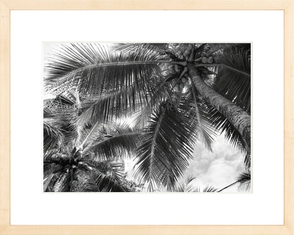 Fine Art Framed Prints: With or Without Mat