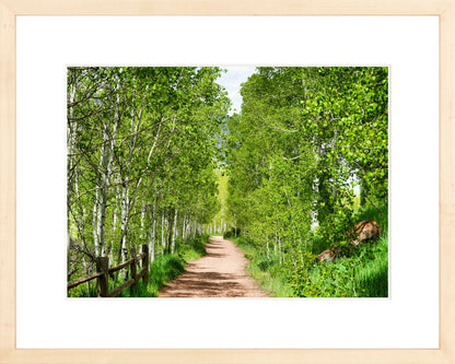 Fine Art Framed Prints: With or Without Mat