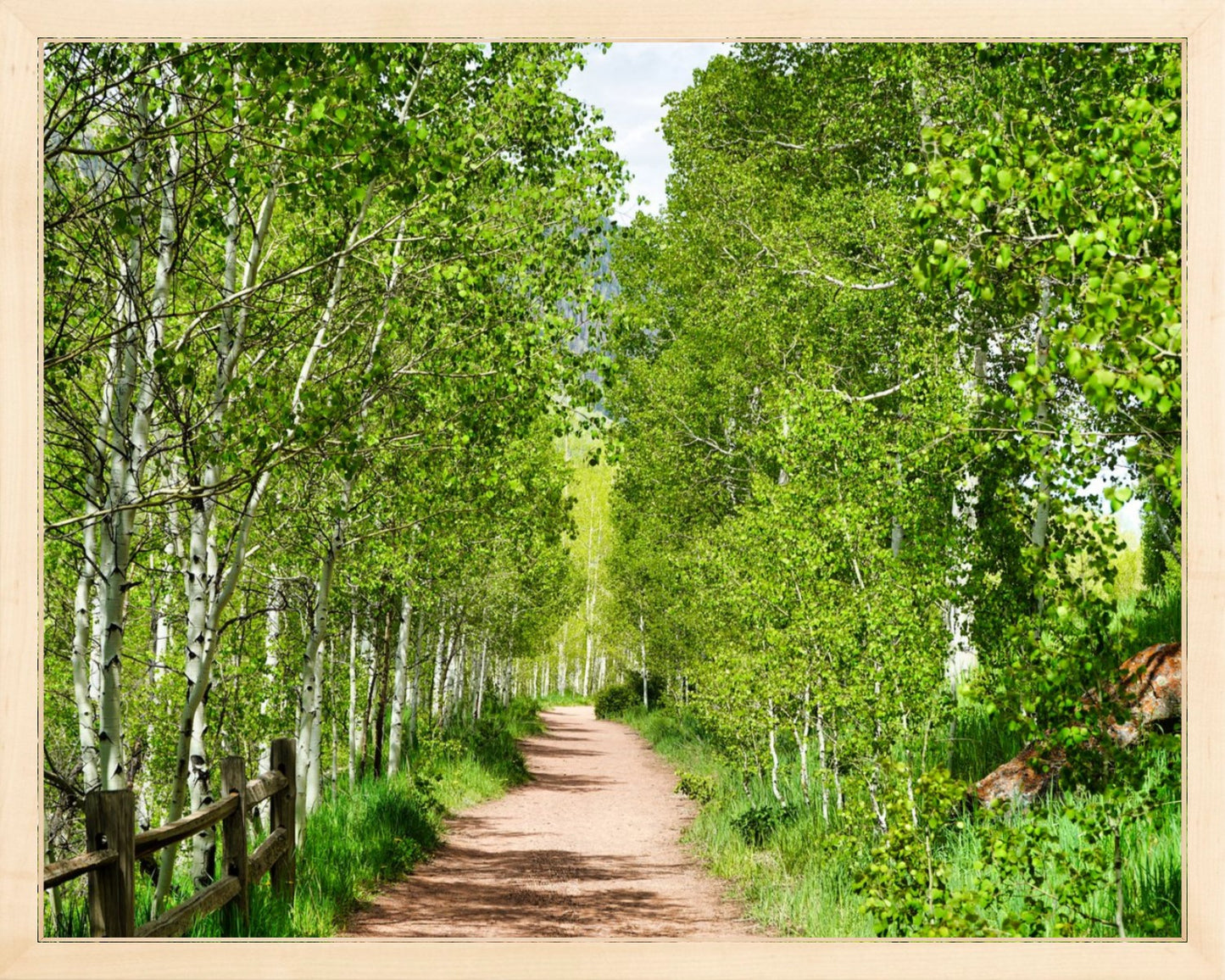 Fine Art Framed Prints: With or Without Mat