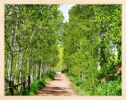 Fine Art Framed Prints: With or Without Mat
