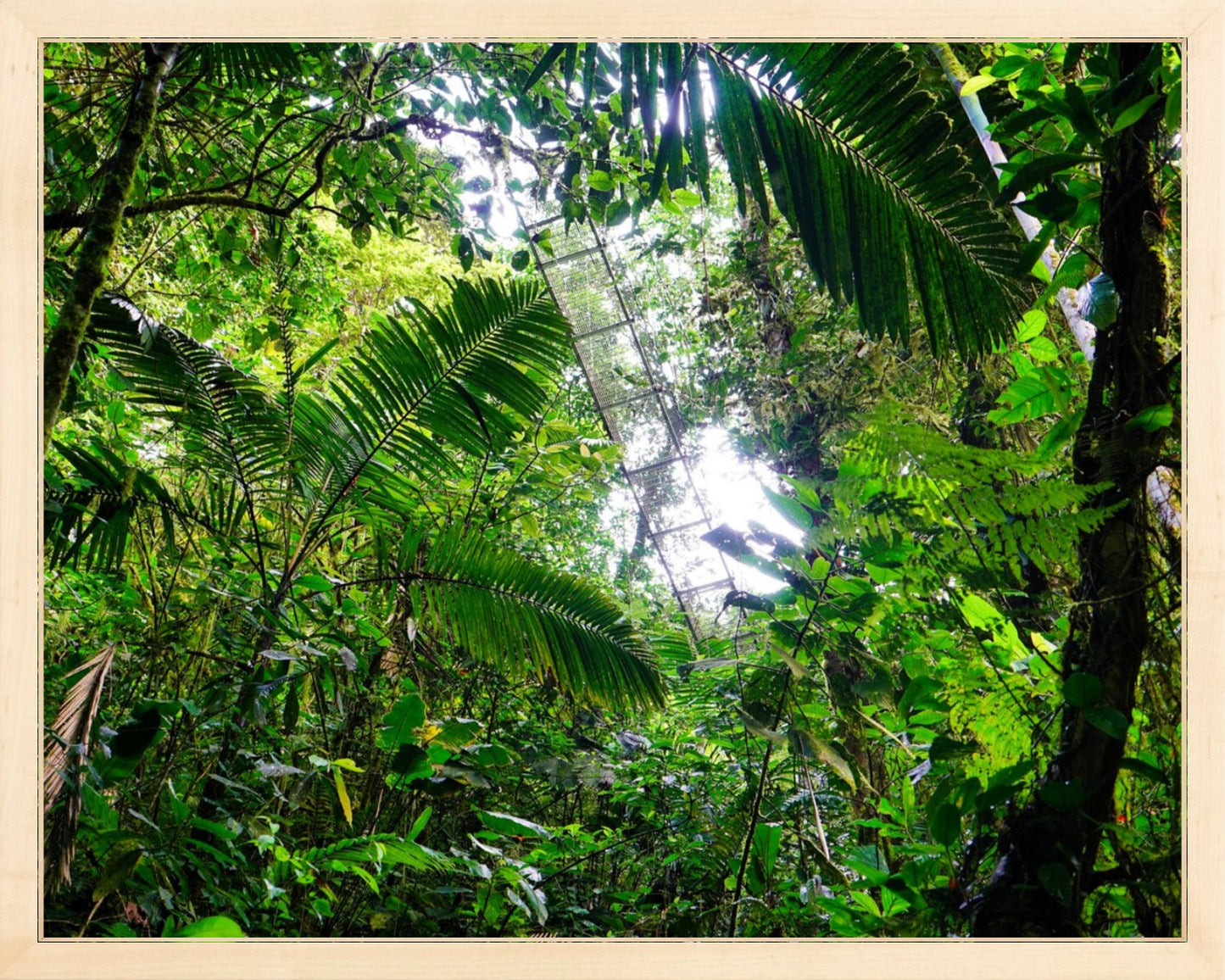 Fine Art Framed Prints: With or Without Mat