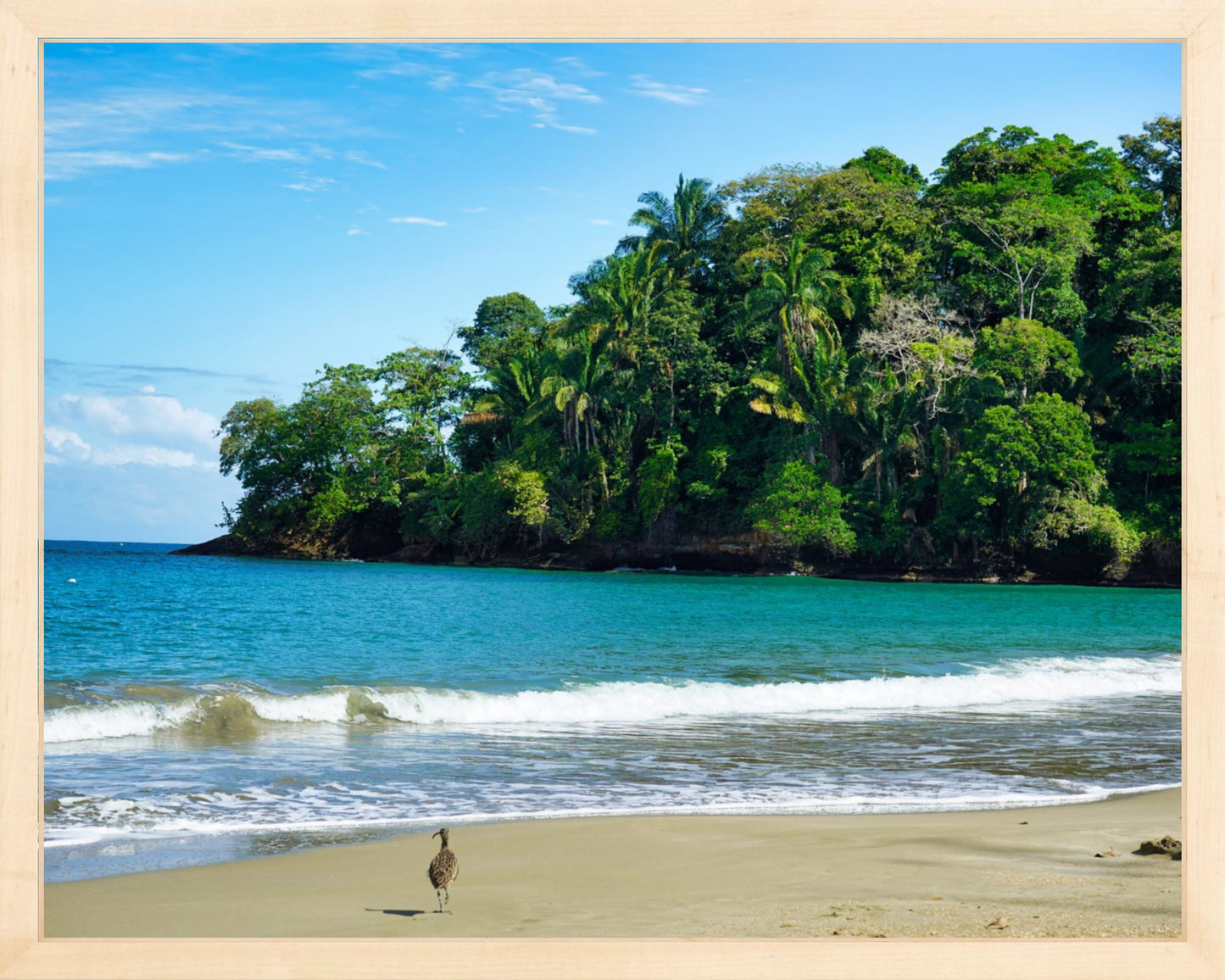 Fine Art Framed Prints: With or Without Mat
