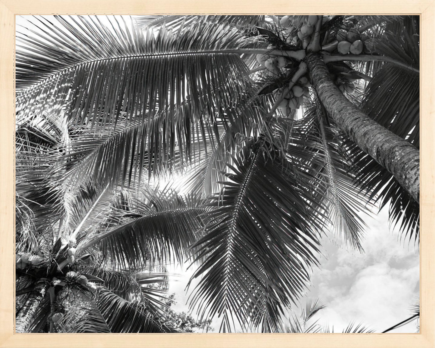Fine Art Framed Prints: With or Without Mat