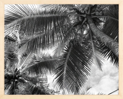 Fine Art Framed Prints: With or Without Mat