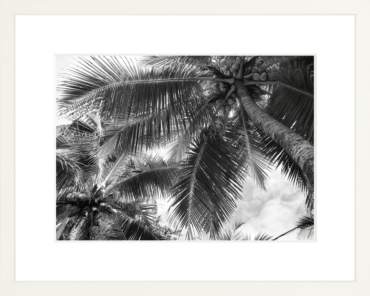 Fine Art Framed Prints: With or Without Mat
