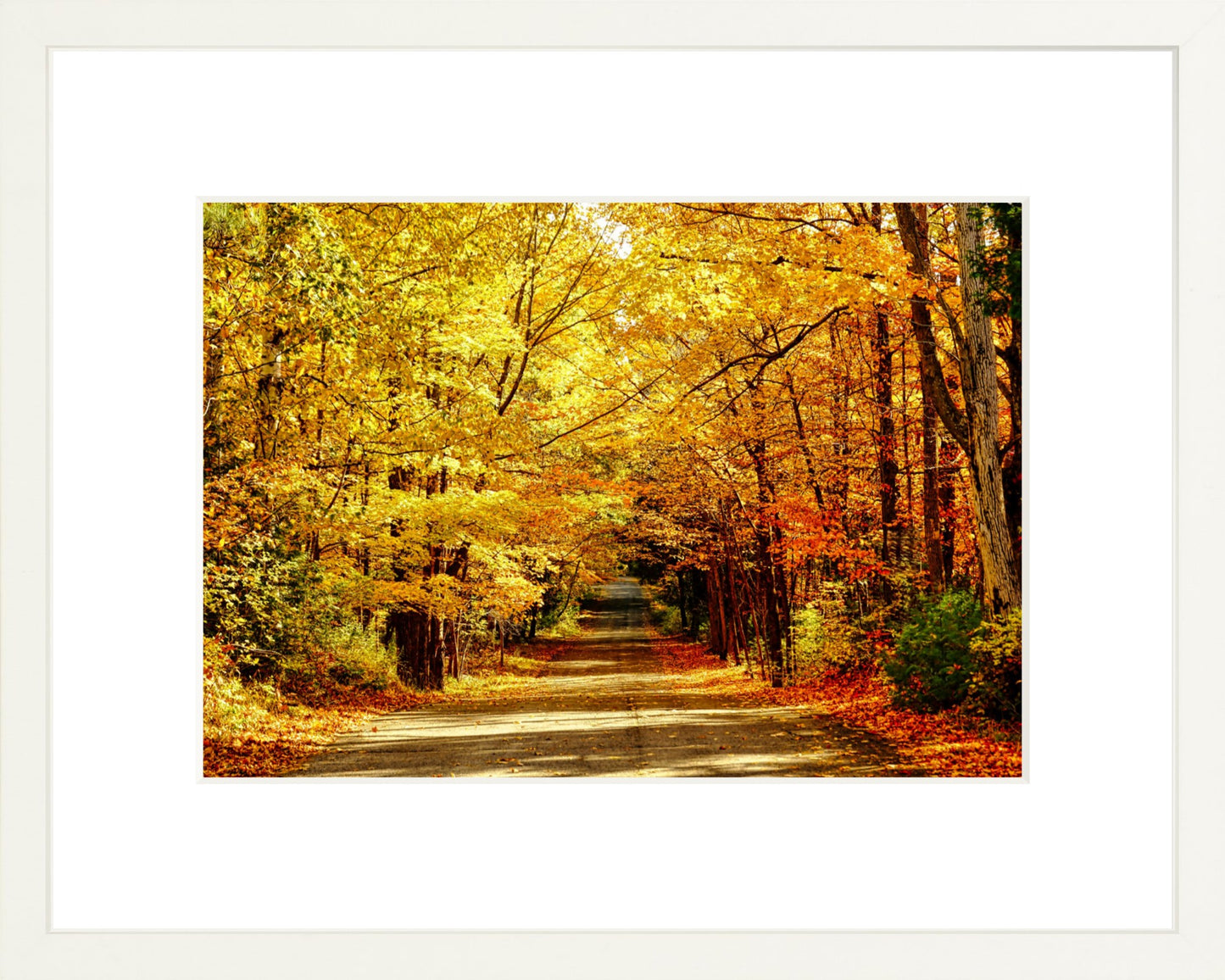 Fine Art Framed Prints: With or Without Mat
