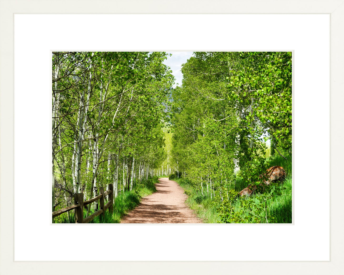 Fine Art Framed Prints: With or Without Mat