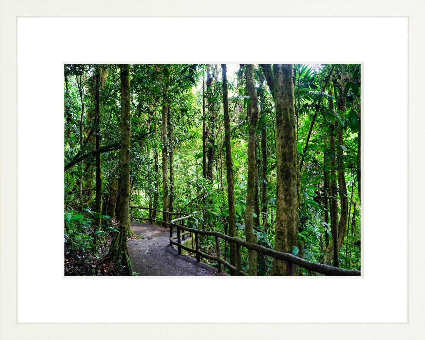 Fine Art Framed Prints: With or Without Mat