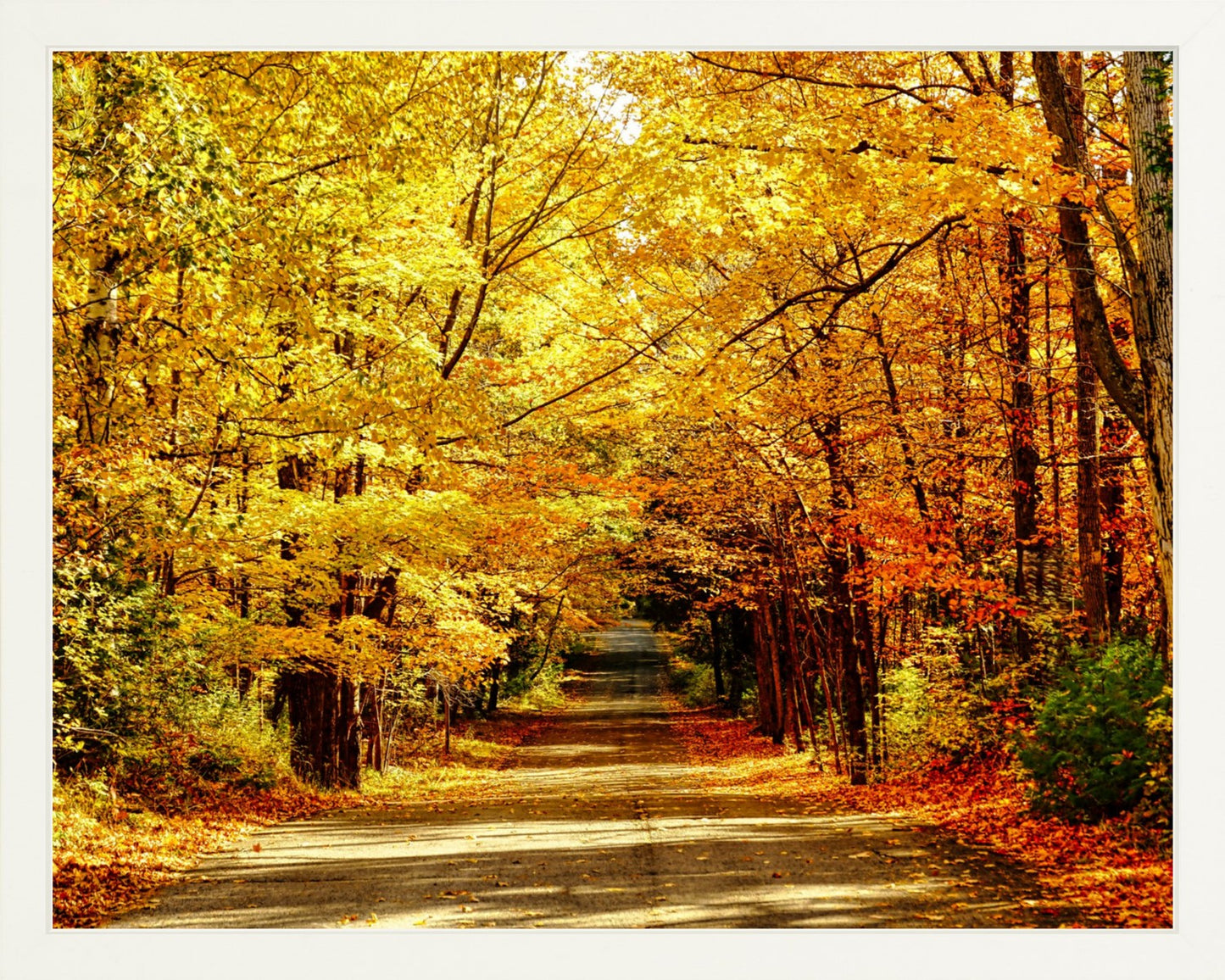 Fine Art Framed Prints: With or Without Mat