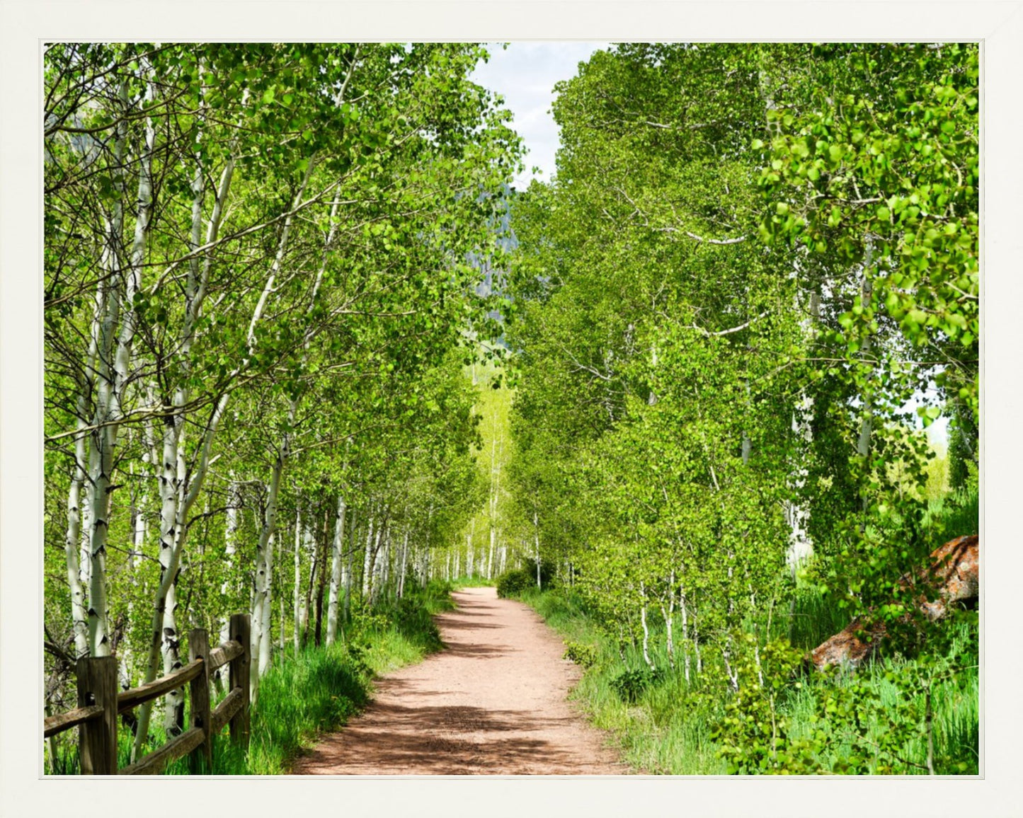 Fine Art Framed Prints: With or Without Mat