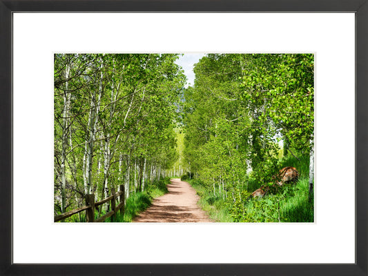 Framed Premium Prints: With or Without Mat