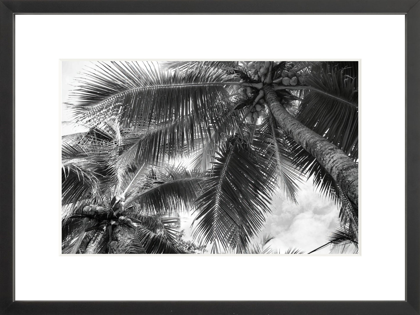 Fine Art Framed Prints: With or Without Mat