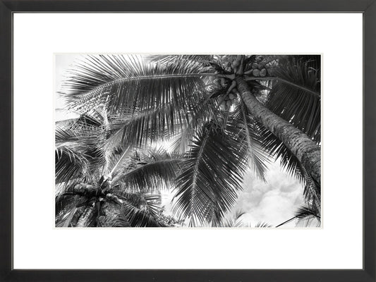 Fine Art Framed Prints: With or Without Mat