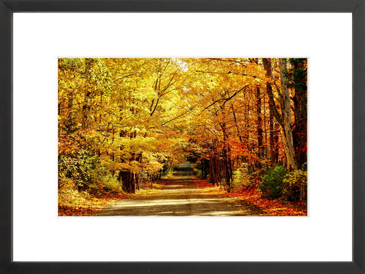 Fine Art Framed Prints: With or Without Mat