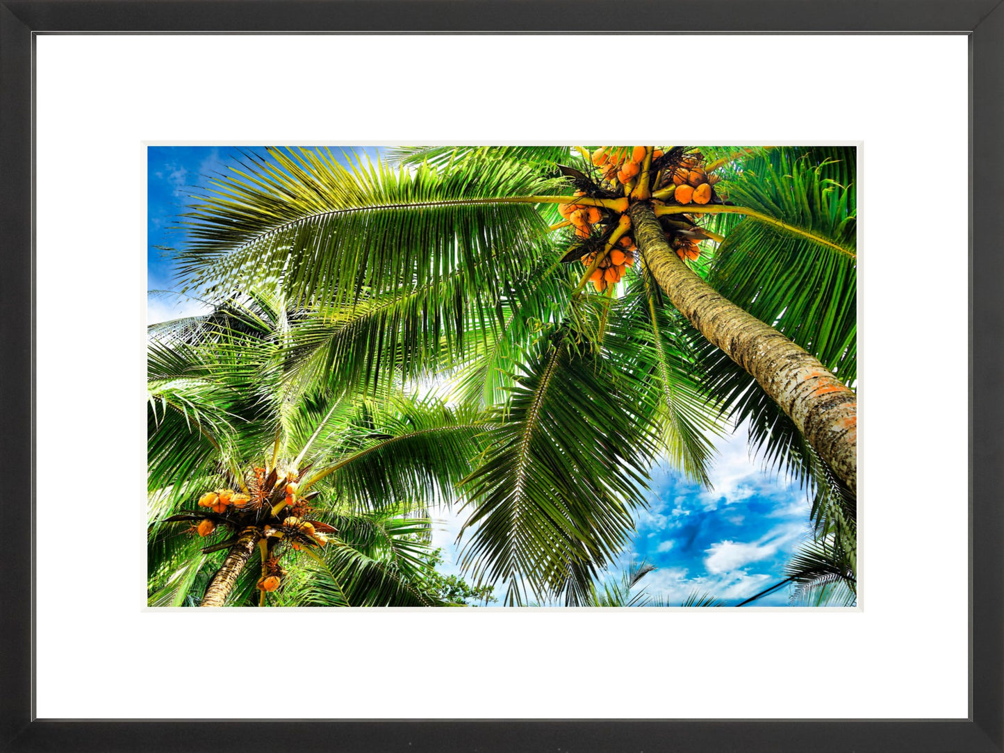 Framed Premium Prints: With or Without Mat