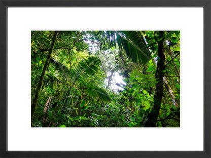 Fine Art Framed Prints: With or Without Mat