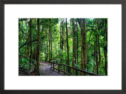 Fine Art Framed Prints: With or Without Mat