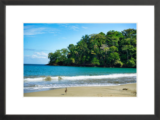 Fine Art Framed Prints: With or Without Mat