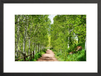 Fine Art Framed Prints: With or Without Mat