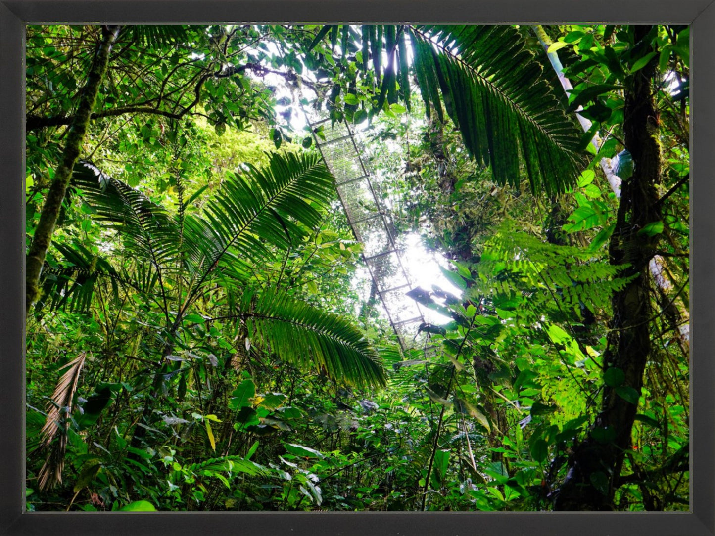 Fine Art Framed Prints: With or Without Mat