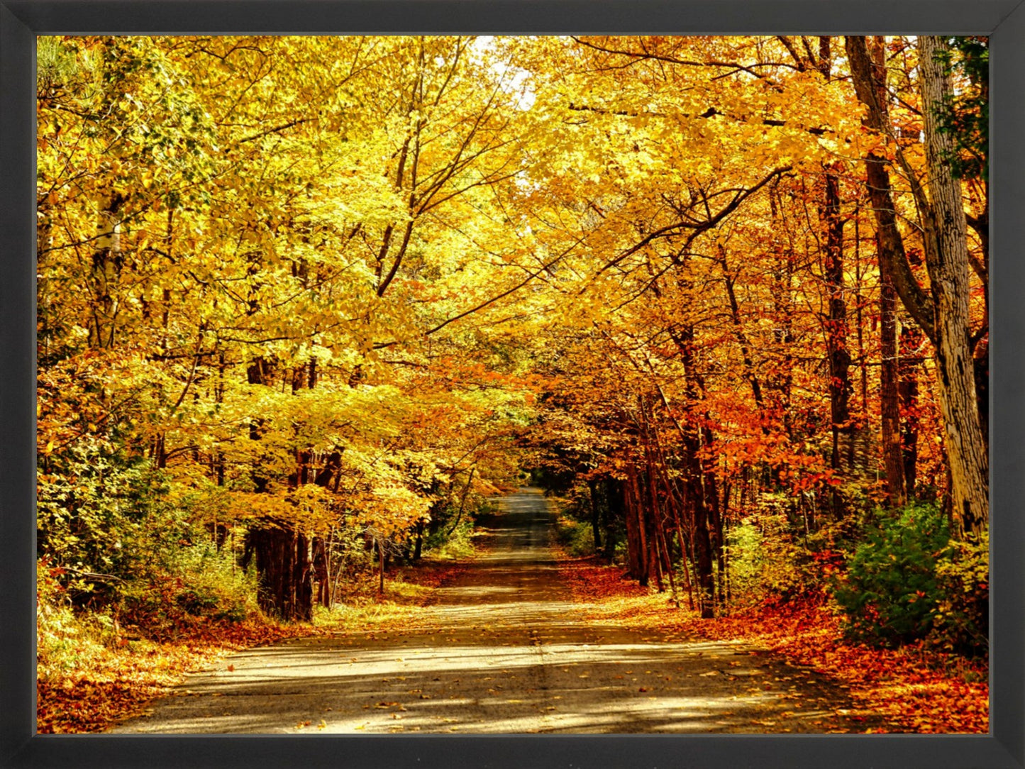 Fine Art Framed Prints: With or Without Mat