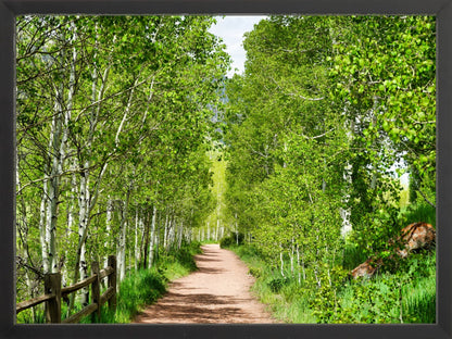 Fine Art Framed Prints: With or Without Mat