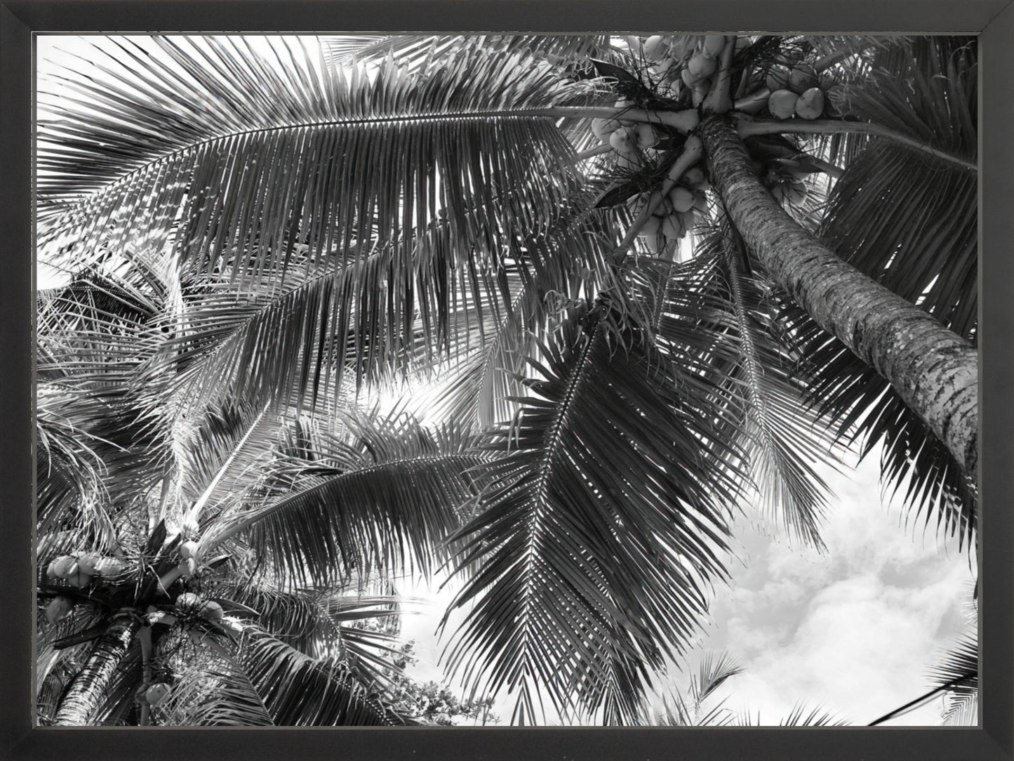 Fine Art Framed Prints: With or Without Mat