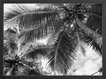 Fine Art Framed Prints: With or Without Mat