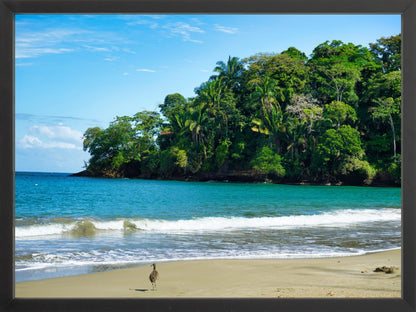 Fine Art Framed Prints: With or Without Mat