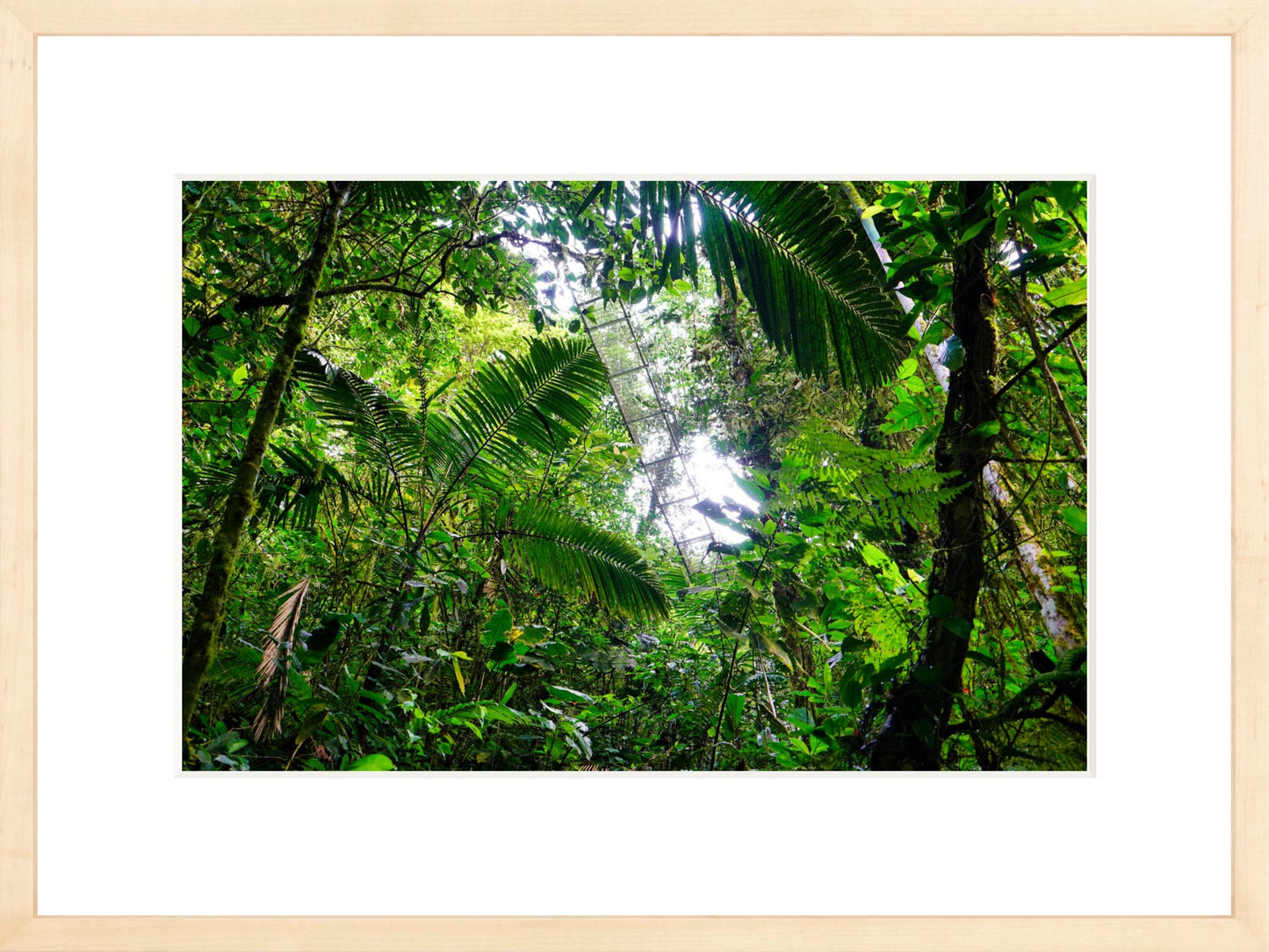 Fine Art Framed Prints: With or Without Mat