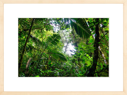 Fine Art Framed Prints: With or Without Mat