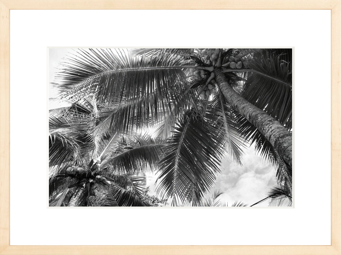 Fine Art Framed Prints: With or Without Mat